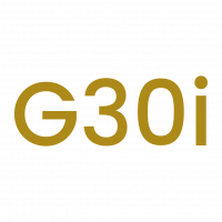 g30i